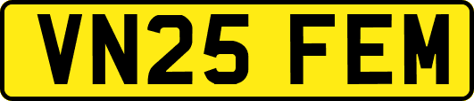 VN25FEM