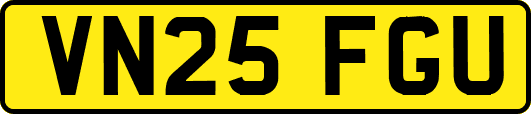 VN25FGU