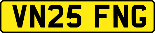 VN25FNG