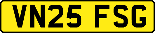 VN25FSG