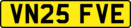 VN25FVE