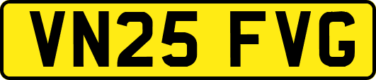 VN25FVG