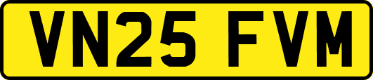 VN25FVM