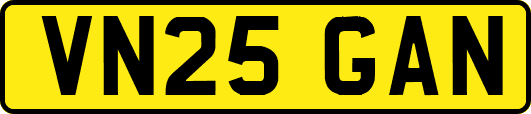 VN25GAN