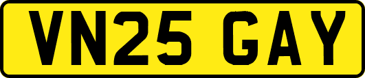 VN25GAY