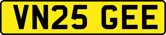 VN25GEE