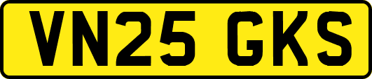 VN25GKS
