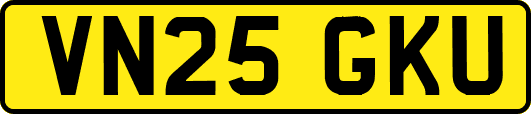 VN25GKU