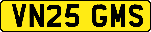 VN25GMS