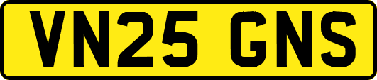 VN25GNS