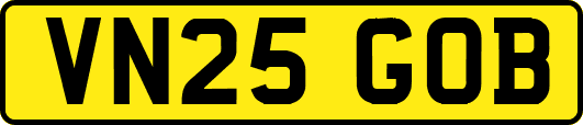 VN25GOB
