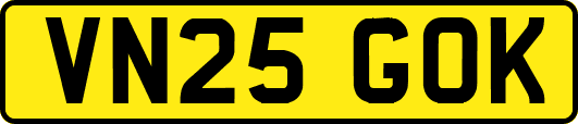 VN25GOK
