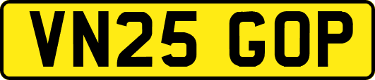 VN25GOP