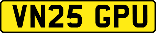 VN25GPU