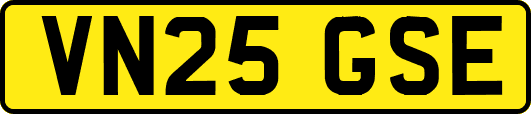 VN25GSE