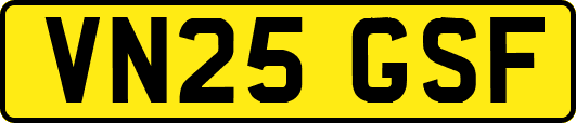 VN25GSF
