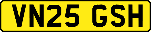 VN25GSH