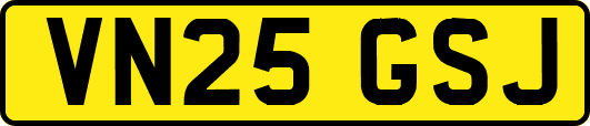 VN25GSJ