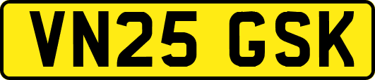VN25GSK