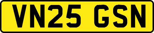 VN25GSN