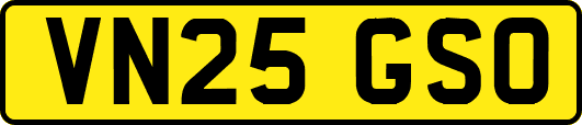 VN25GSO
