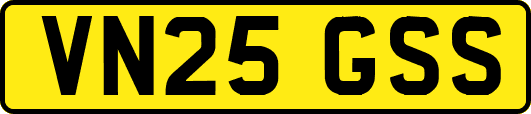 VN25GSS