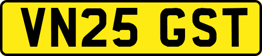 VN25GST