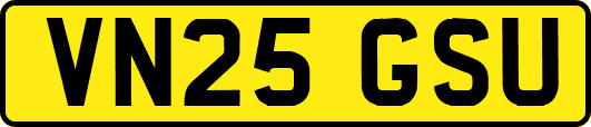 VN25GSU