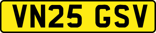 VN25GSV
