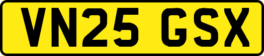 VN25GSX