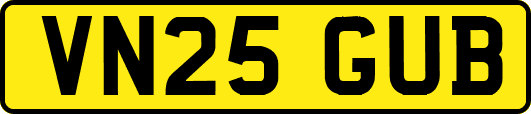 VN25GUB