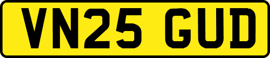 VN25GUD