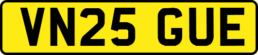 VN25GUE