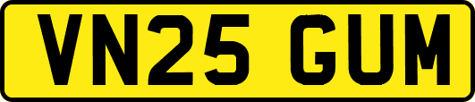 VN25GUM