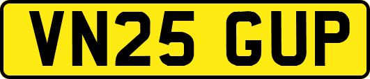 VN25GUP