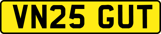 VN25GUT