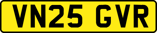 VN25GVR