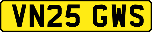 VN25GWS