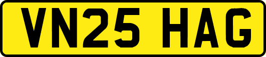 VN25HAG