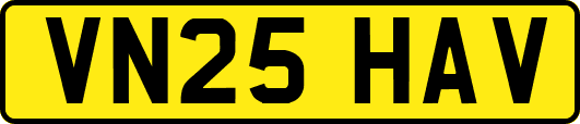 VN25HAV