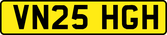 VN25HGH