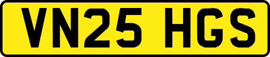 VN25HGS