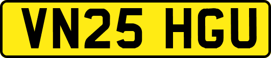 VN25HGU