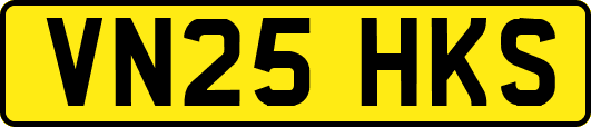 VN25HKS
