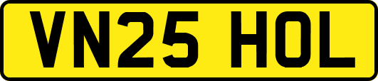VN25HOL
