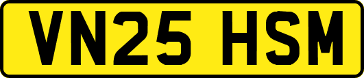 VN25HSM