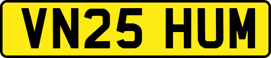 VN25HUM