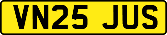 VN25JUS