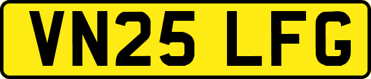 VN25LFG