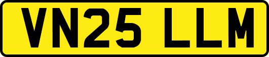 VN25LLM